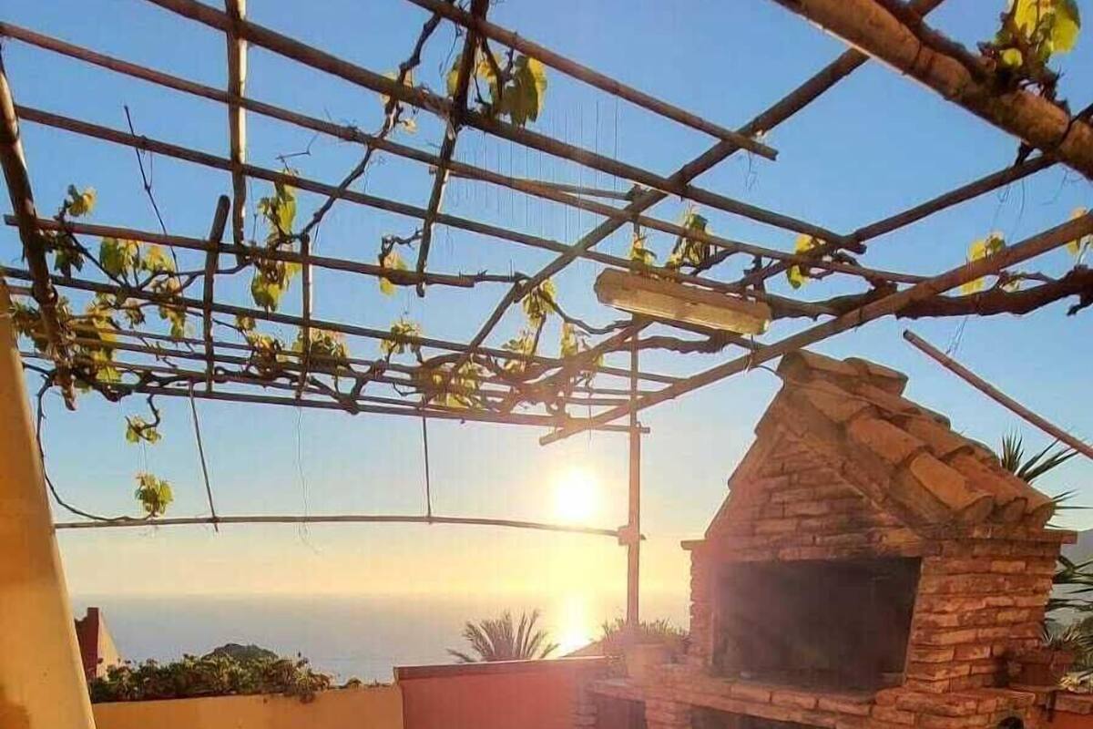 Une terrasse extérieure avec un four en briques, une table recouverte d’une nappe à motifs et une pergola ornée de plantes grimpantes.