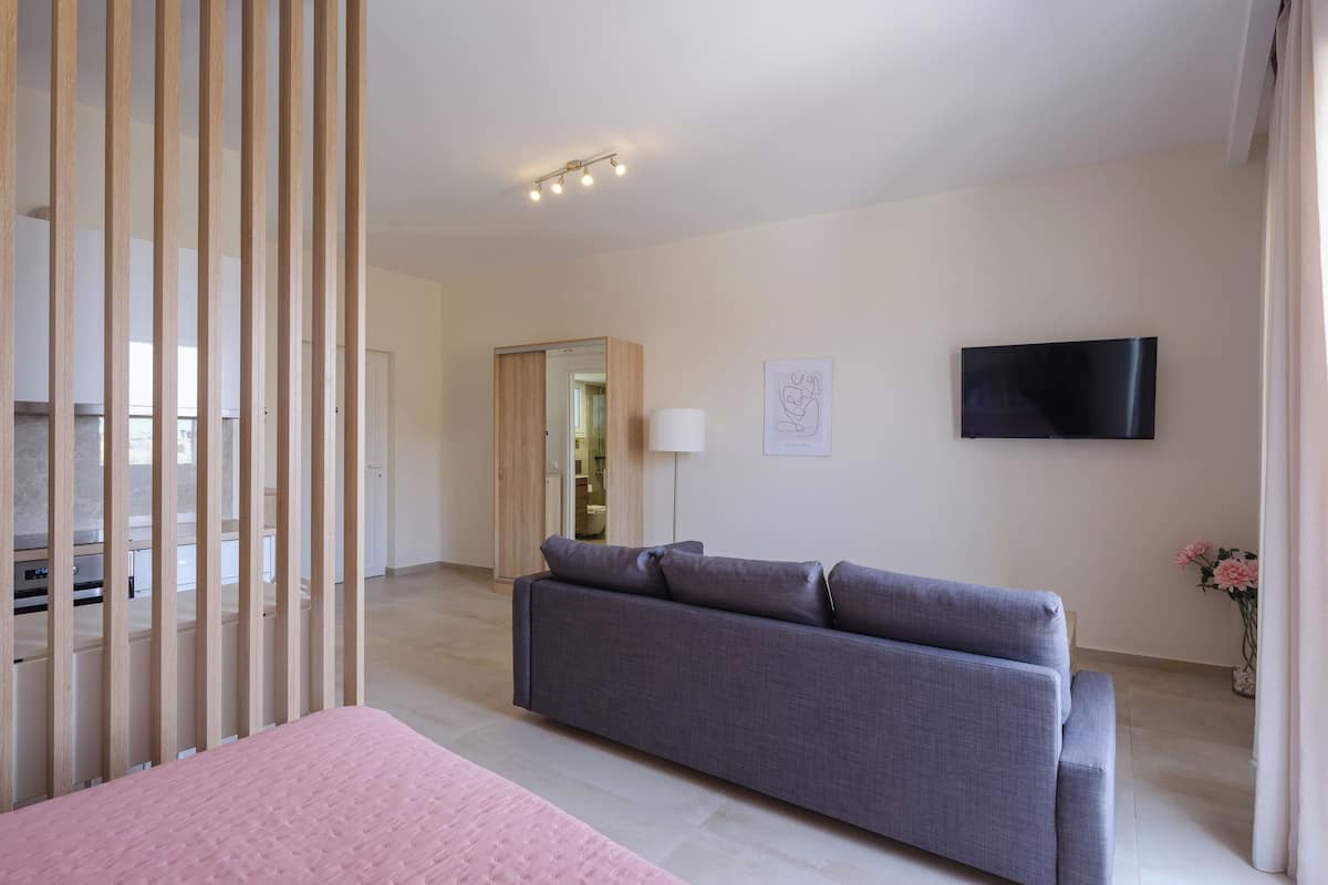 A modern hotel room with a sofa, a bed, a TV, and a wooden partition.