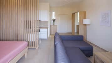 Standard Studio, Balcony, City View | Free WiFi