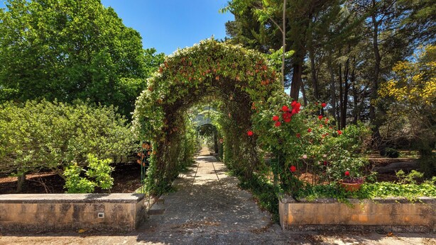 A pathway flanked by lush greenery and flowering plants, leading to a covered area. - 4034 Villa Rodio by Barbarhouse (Ceglie Messapica)