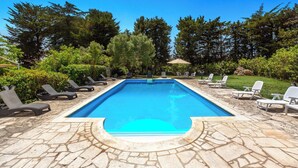 A rectangular swimming pool with a stone tiled deck, surrounded by lounge chairs and greenery. - 4034 Villa Rodio by Barbarhouse (Ceglie Messapica)