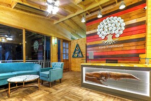 Reception - Koro Treehouse Resort (Solan)