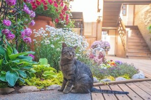 施設の敷地