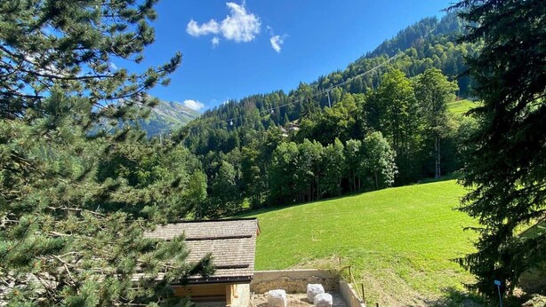 A small cabin with a stone foundation, surrounded by a grassy field and dense forest.