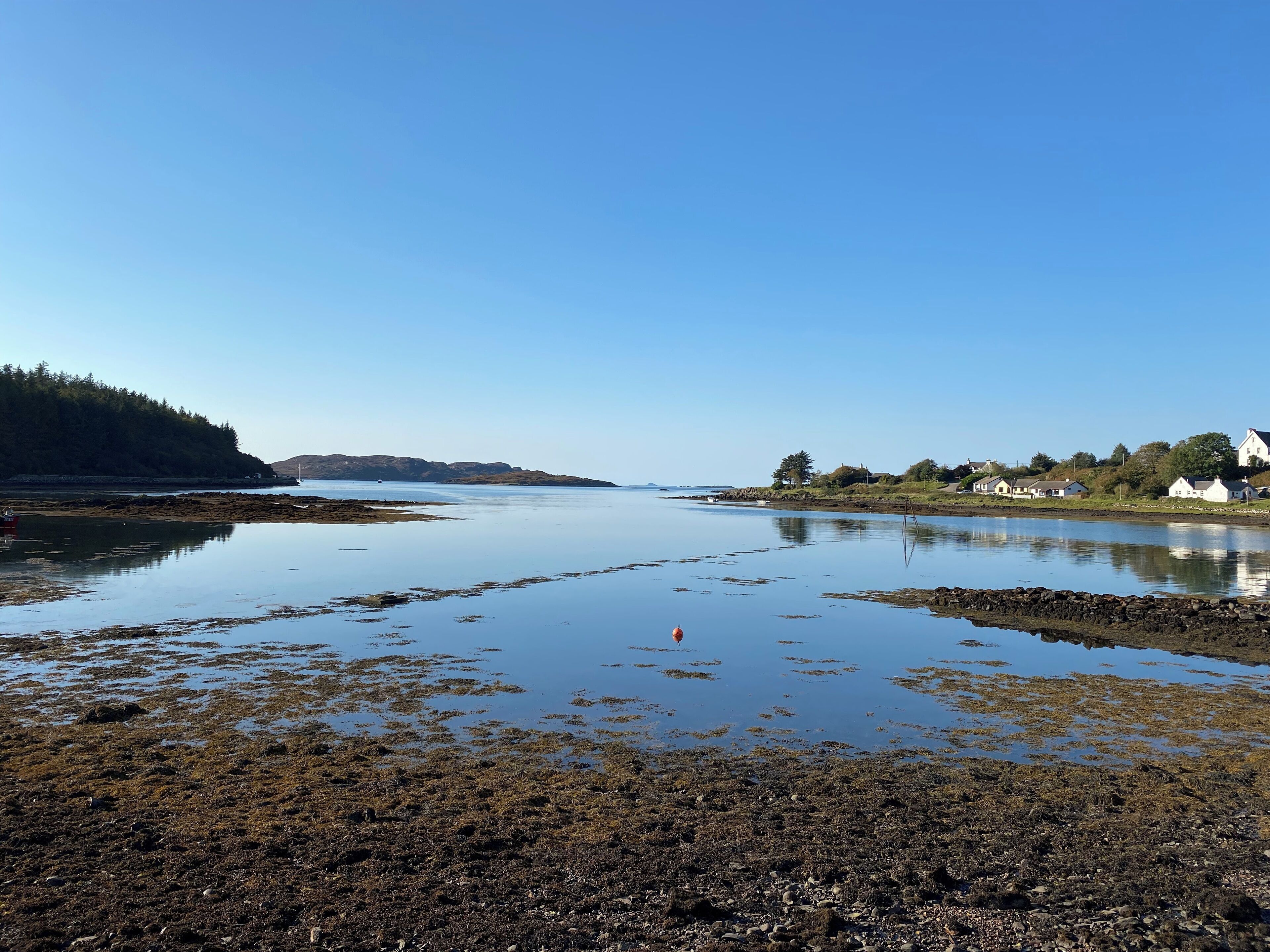 A coastal area with a calm sea, rocky shore, and a few houses in the background.