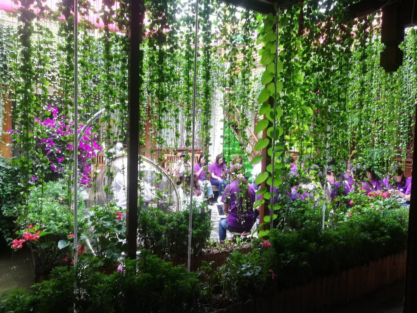 A lush indoor garden with hanging plants and a wooden structure.