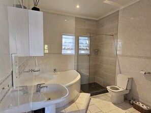 Shower, hair dryer, towels, toilet paper - Tranquil apartment with WiFi in Sandton (Sandton)