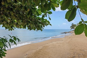 A beach with clear blue water, sandy shore, and some trees in the foreground.