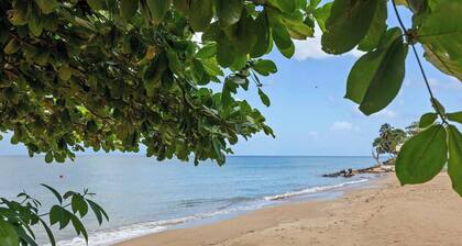 Aloha Coquí | Stylish Unit with Pool in Rincón