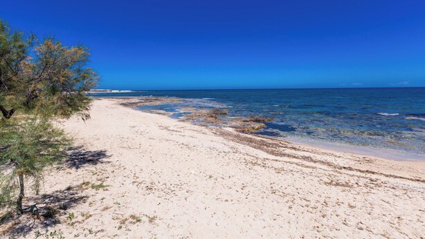 A beach with clear blue water, sandy shore, and sparse vegetation. - 4019 Villetta Biancamare by Barbarhouse (Carovigno)