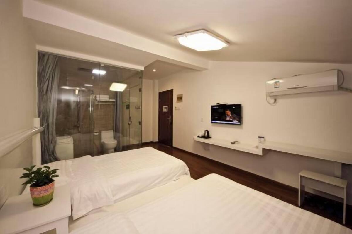 A hotel room with two beds, a TV, a shower, and a small table with a plant.