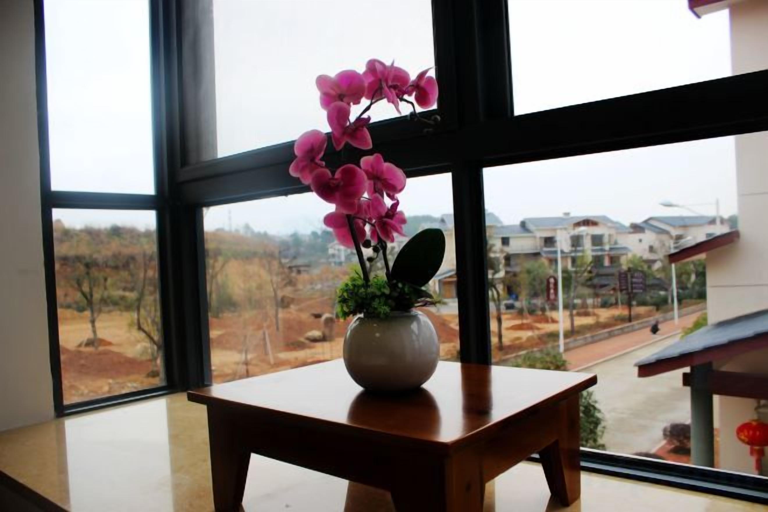 Una orquídea en maceta sobre una mesa de madera junto a un amplio ventanal con vistas a una zona residencial.