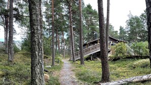 A forested area with a wooden walkway leading to a cabin.
