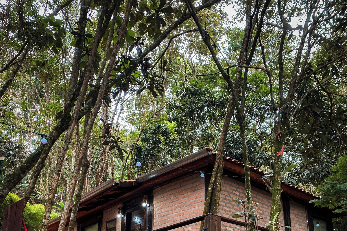 A rustic house with a brick exterior, surrounded by trees and a hammock.