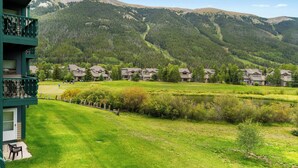 Terrain de l’hébergement 