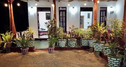 Lions Gate Homestay