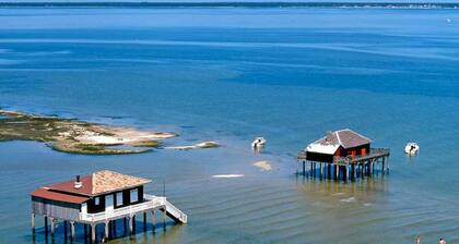 Magnifique Villa spacieuse. Proche plage, commerces au centre de Arcachon.