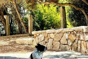 Overnattingsstedets uteområder