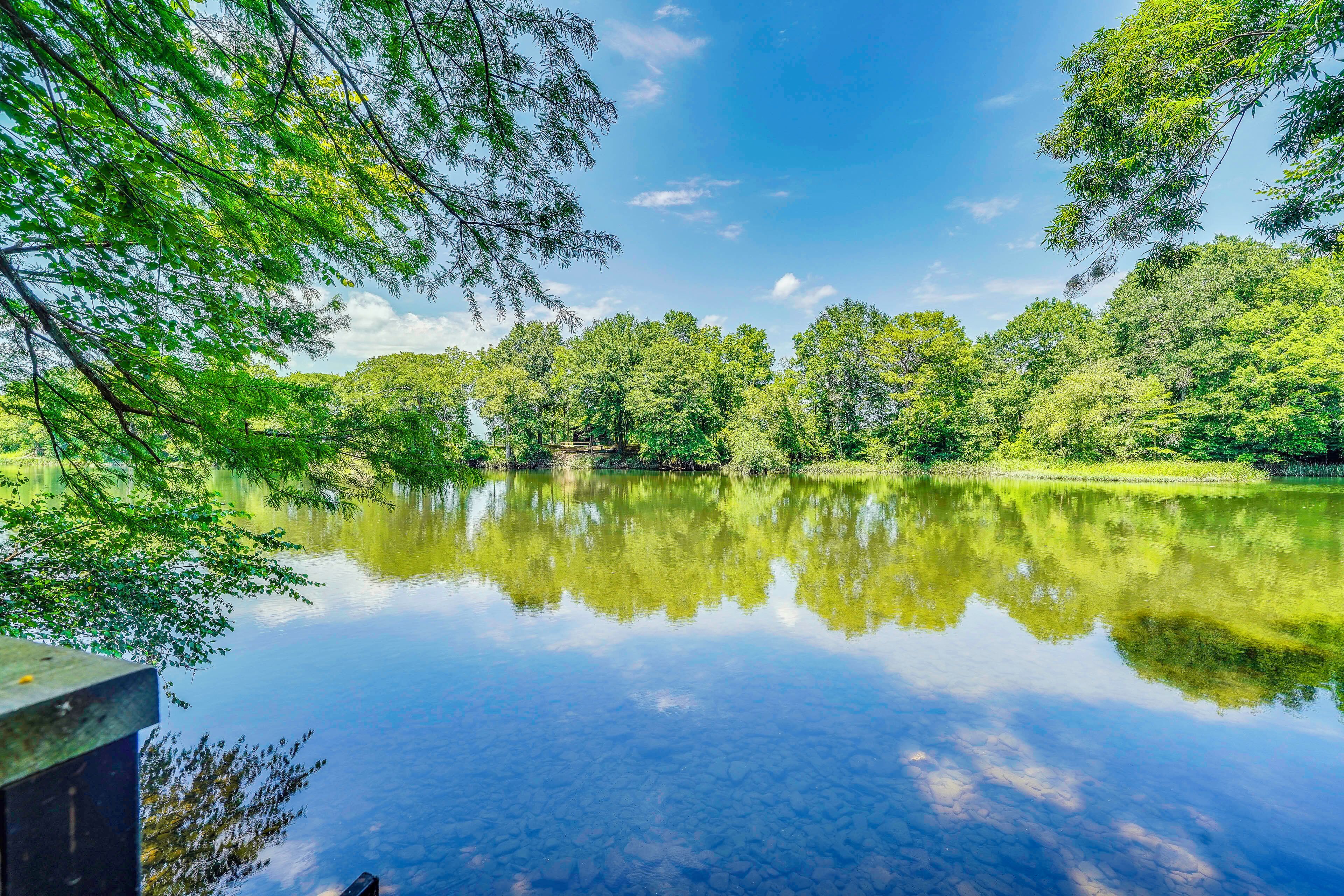 Um lago tranquilo rodeado por árvores verdes e um céu claro.