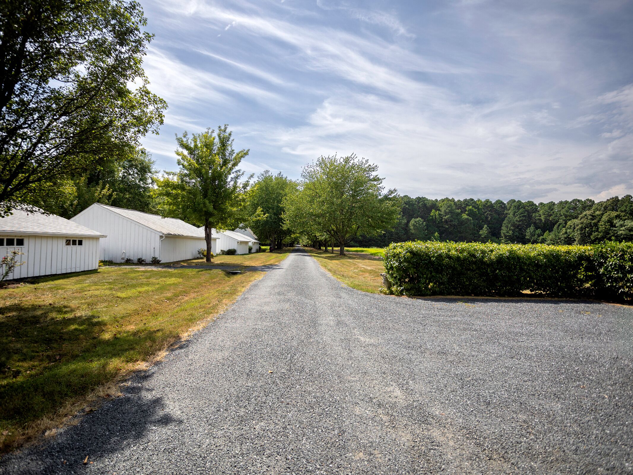 A gravel driveway leading to a row of white buildings with a grassy area and trees on either side.