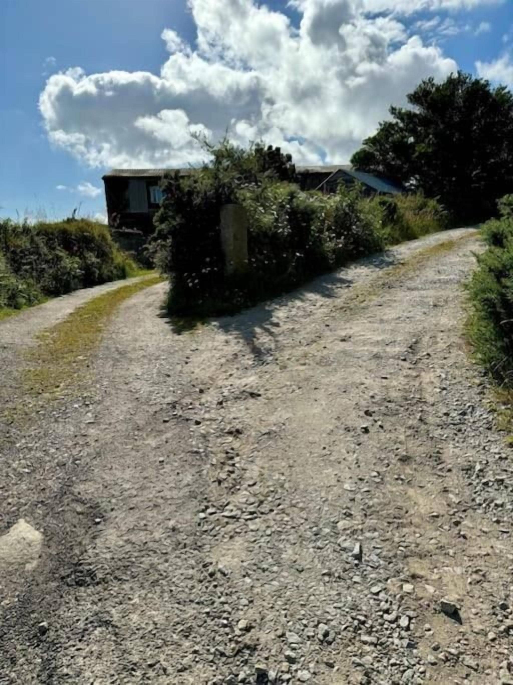 A gravel path leading to a building surrounded by vegetation.