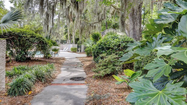 A pathway leading to a pool area surrounded by lush greenery and trees with hanging moss. - Sunset Rentals | Continental Club 1 (Hilton Head Island)