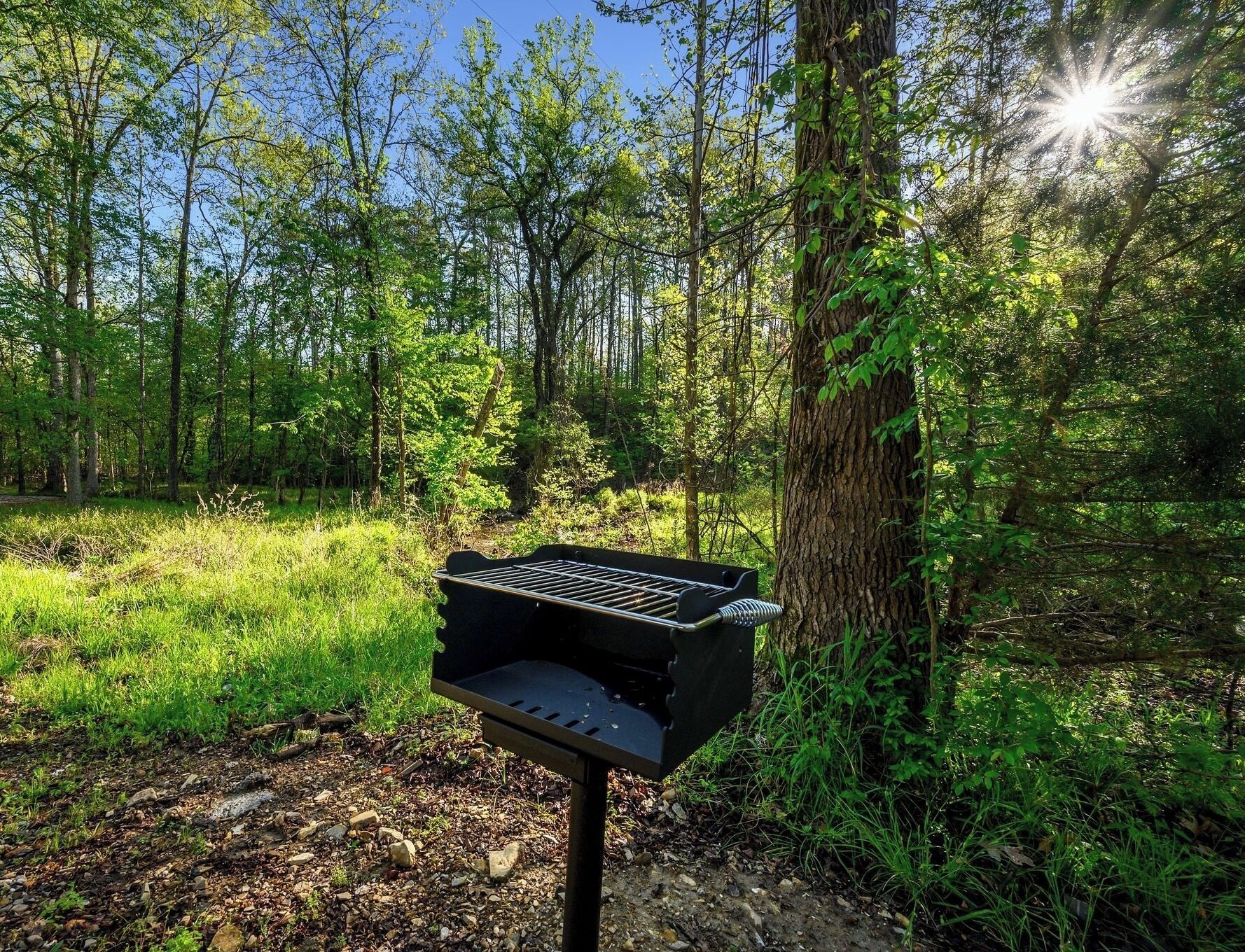 Una parrilla en un área boscosa, con árboles y luz solar.