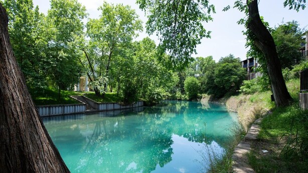 Un espace piscine extérieur paisible, entouré d’une végétation luxuriante et d’arbres.