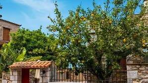 Un muro de piedra con una reja de metal, un árbol con frutos amarillos y una puerta roja.