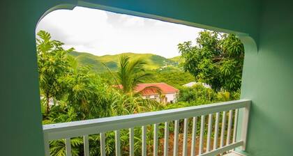 Hibiscus Haven USVI