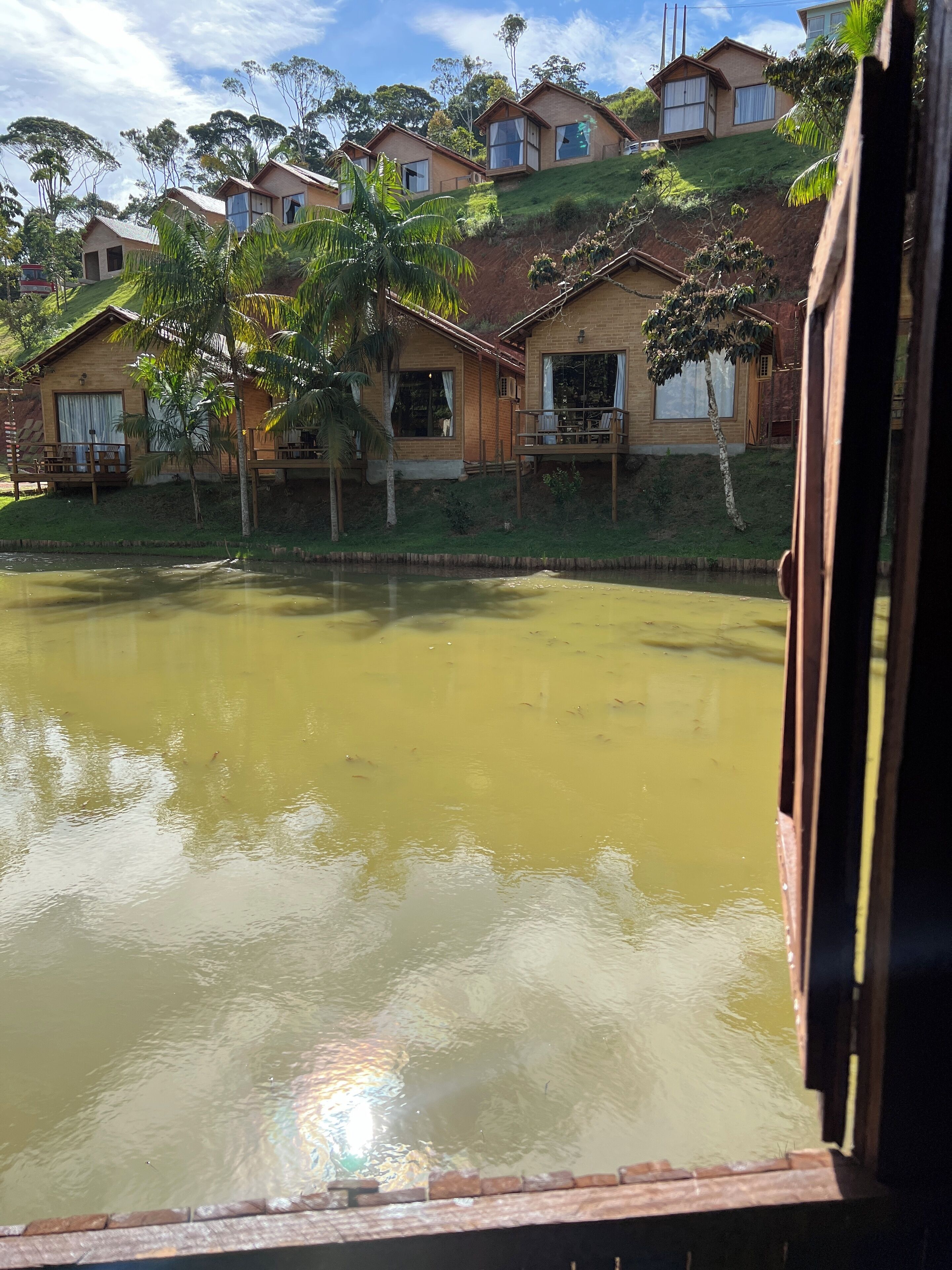 A view of a residential area with houses, a pond, and a wooden deck.