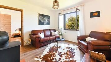 TV connectée, cheminée, table de tennis de table, livres