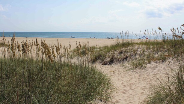A beach with sand dunes and sparse vegetation. - Pet-friendly oceanside Hatteras Island home by Sun Realty (Avon)