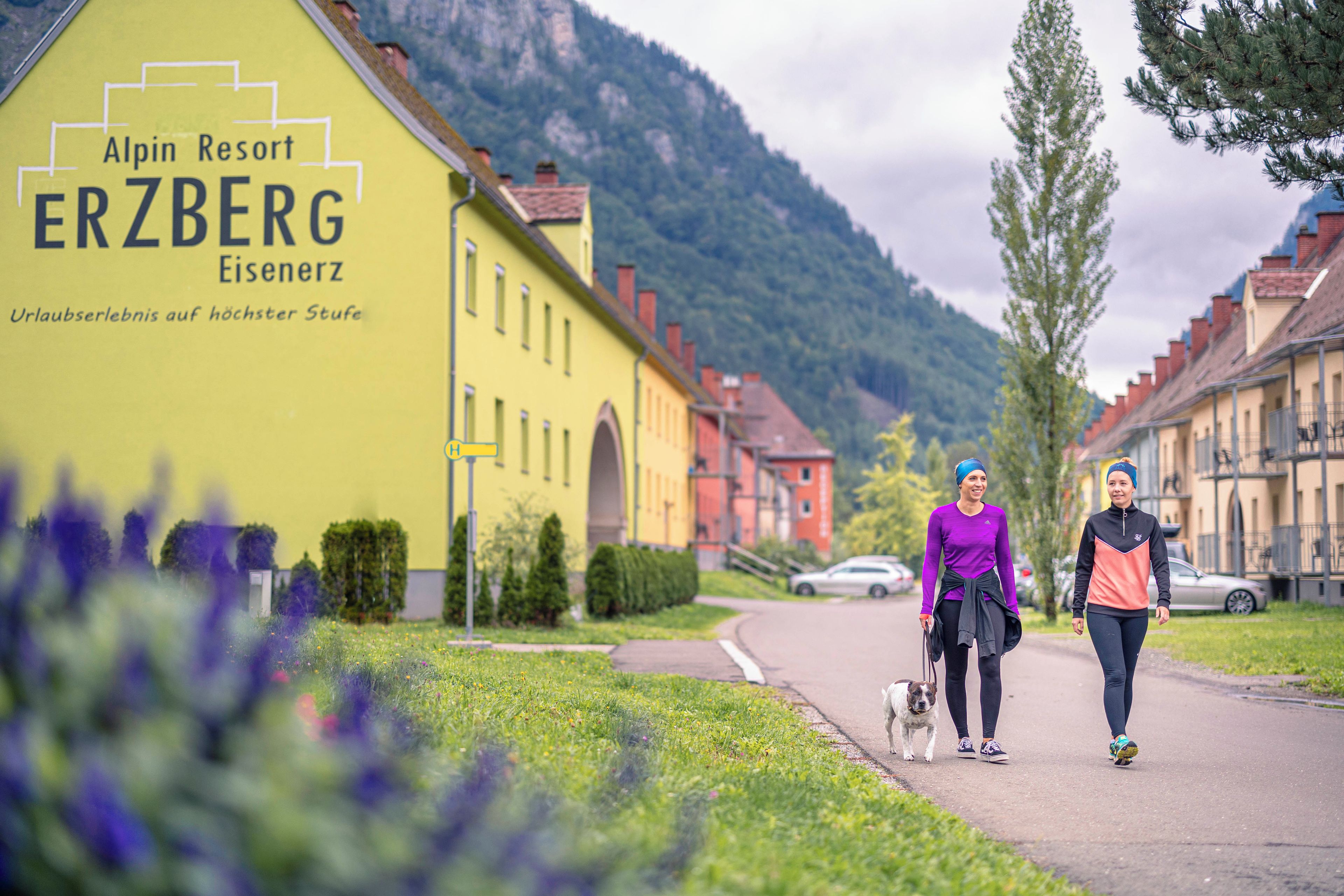 A yellow building with the text 'Alpin Resort ERZBERG Eisenerz' and a pathway with two people and a dog.