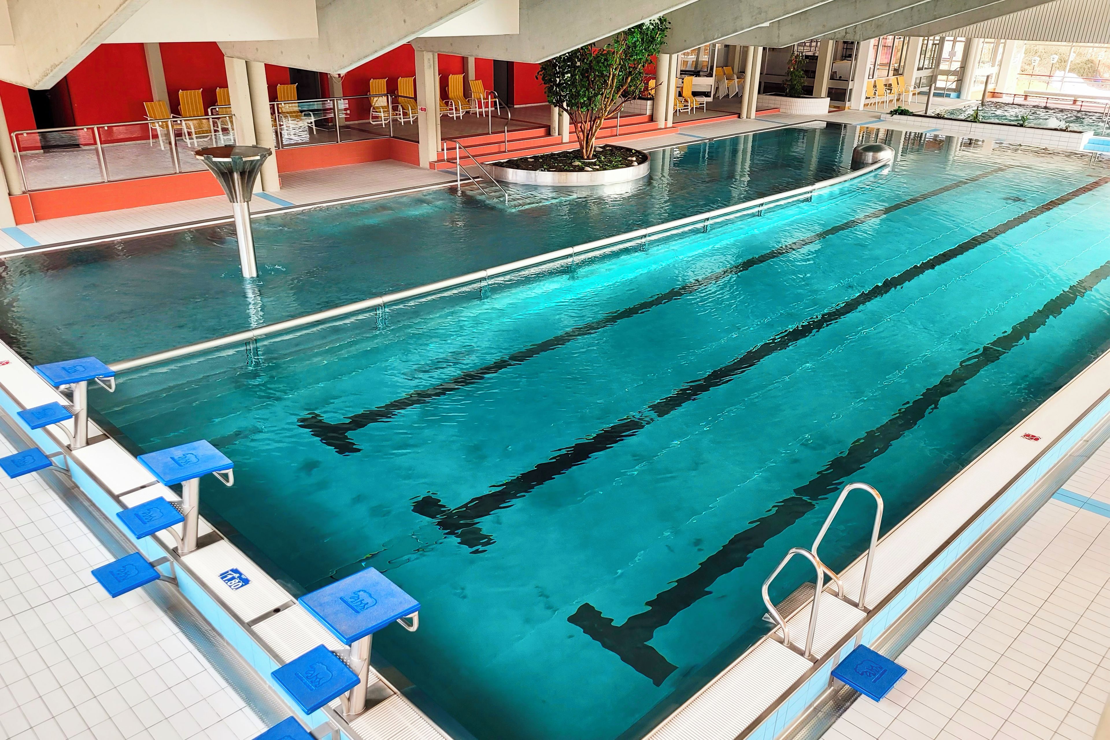 Una piscina interior con varias pistas de natación, una zona de estar con sillas amarillas y un pequeño jardín con un árbol.