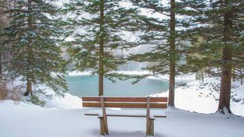 Eine Bank in einem verschneiten Wald, im Hintergrund ein See.
