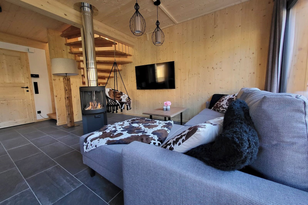 A cozy room with a sofa, a hanging chair, a fireplace, and a television.
