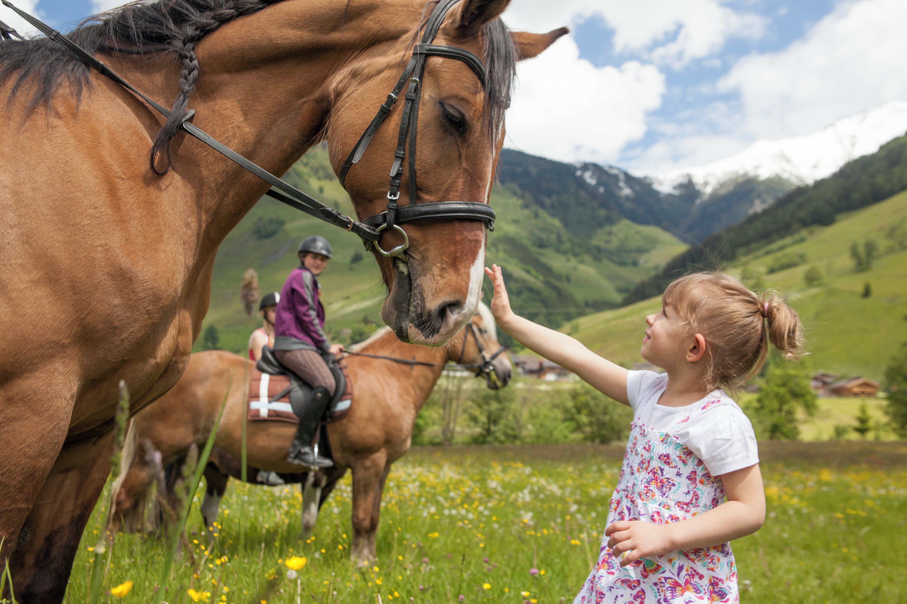 Una persona acariciando un caballo en un campo, con otro caballo y un jinete al fondo.