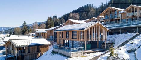 A modern wooden lodge with multiple levels, a covered outdoor area, and a view of snow-covered mountains.