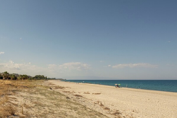 A beach with a clear sky, sandy shore, and sparse vegetation.