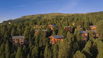 A cluster of wooden cabins nestled among dense forest on a hillside.