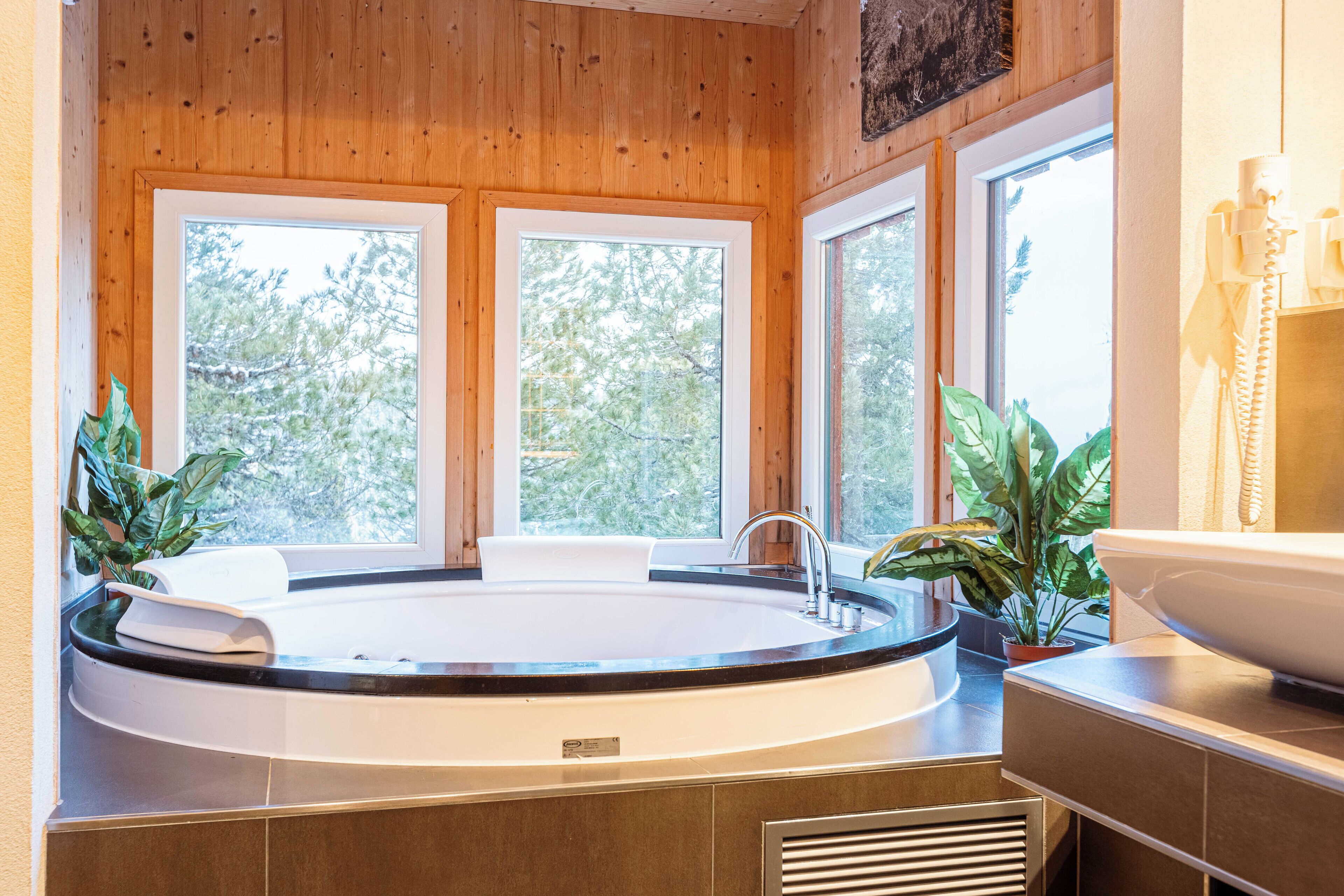 Un baño moderno con una bañera independiente, ventanas amplias y plantas en macetas.