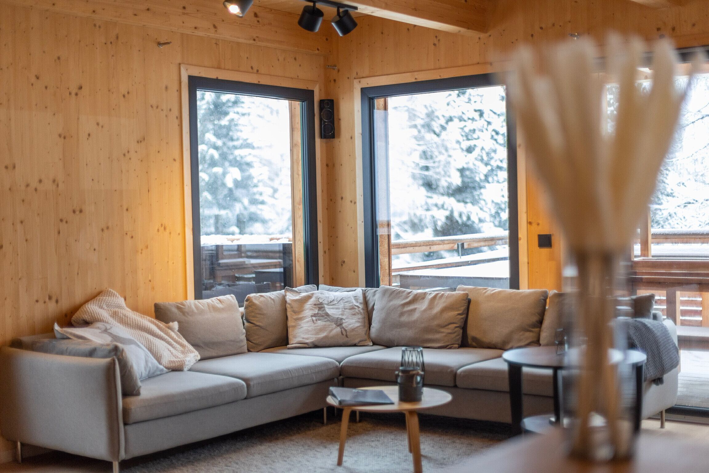 Ferienhaus # 15 mit Sauna, Whirlwanne & Whirlpool außen | 起居区 | 平板电视、DVD 播放器