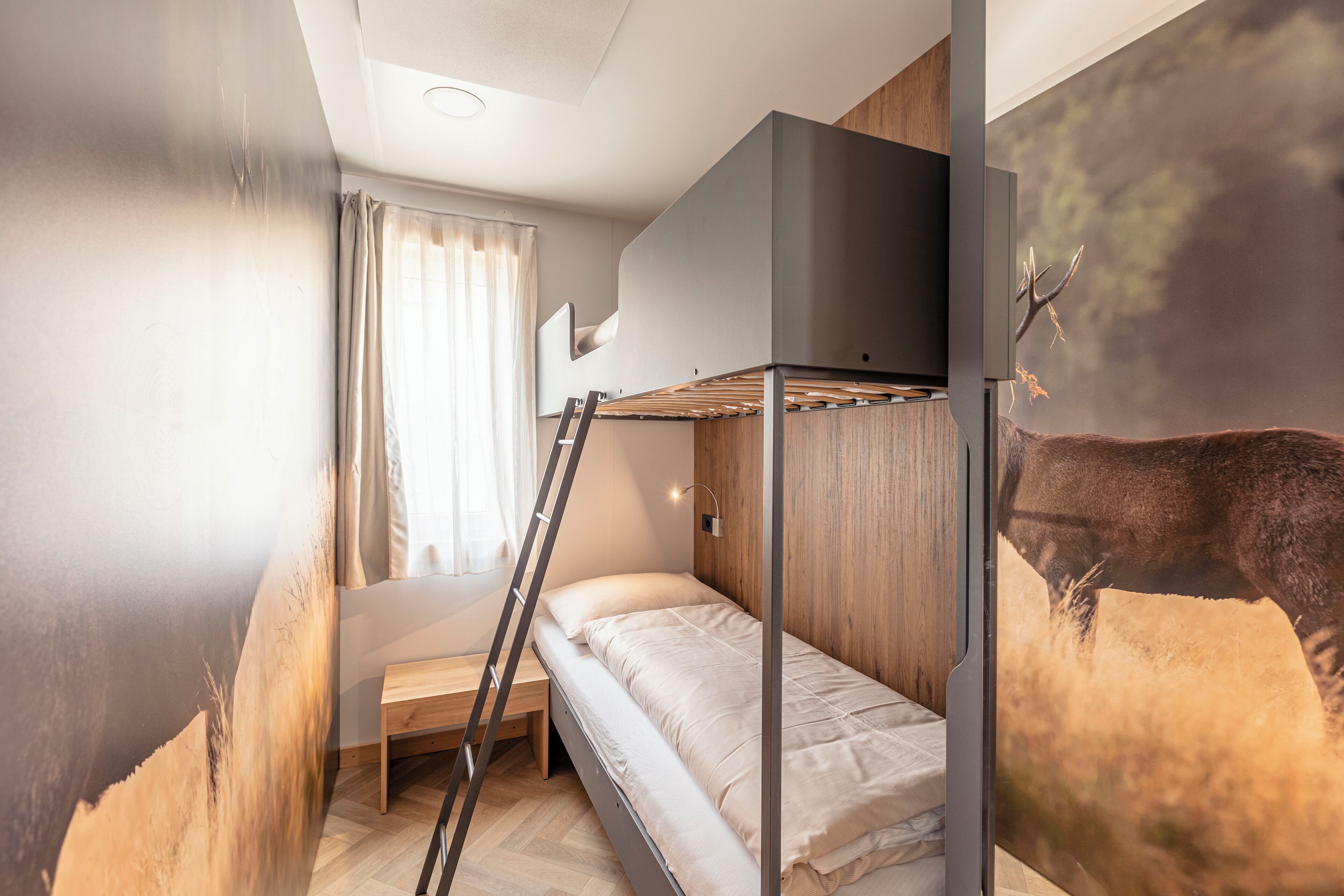 A compact bedroom with a bunk bed, a desk, and a ladder.