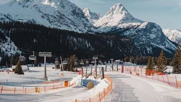 Snø- og skisport