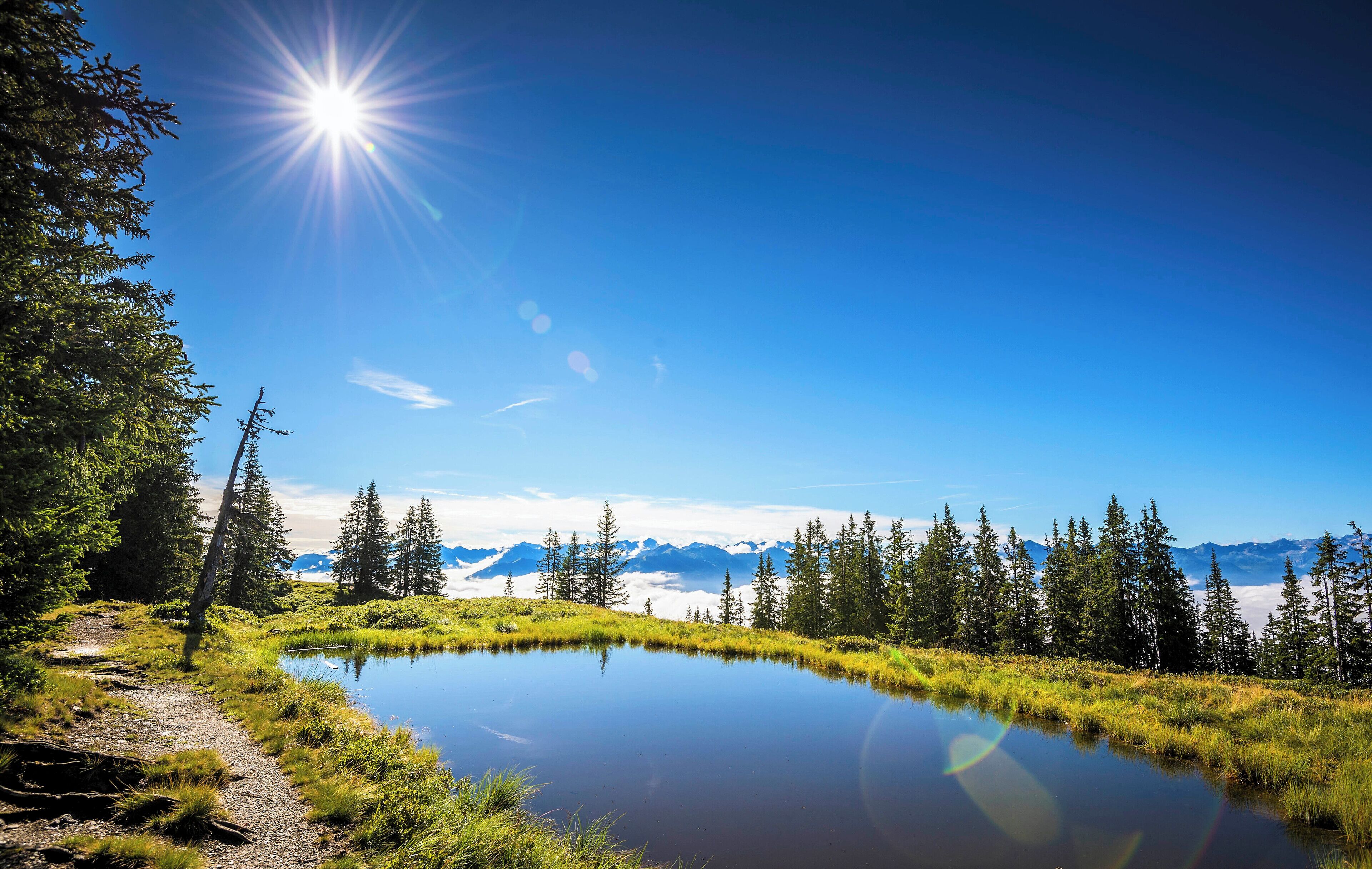 A serene lake surrounded by trees and mountains under a clear blue sky.