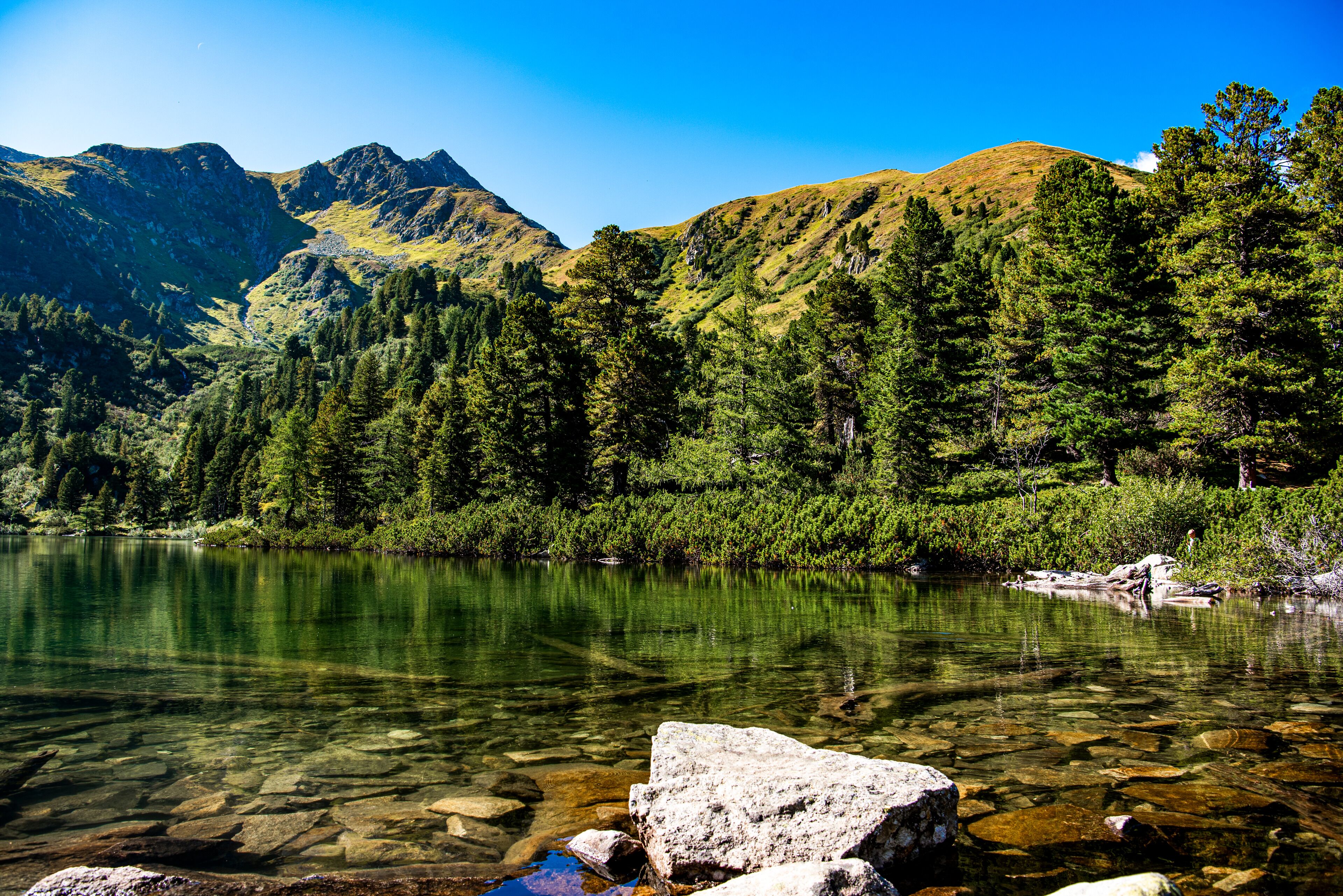 Un lago de montaña cristalino rodeado de un bosque denso y terreno rocoso.