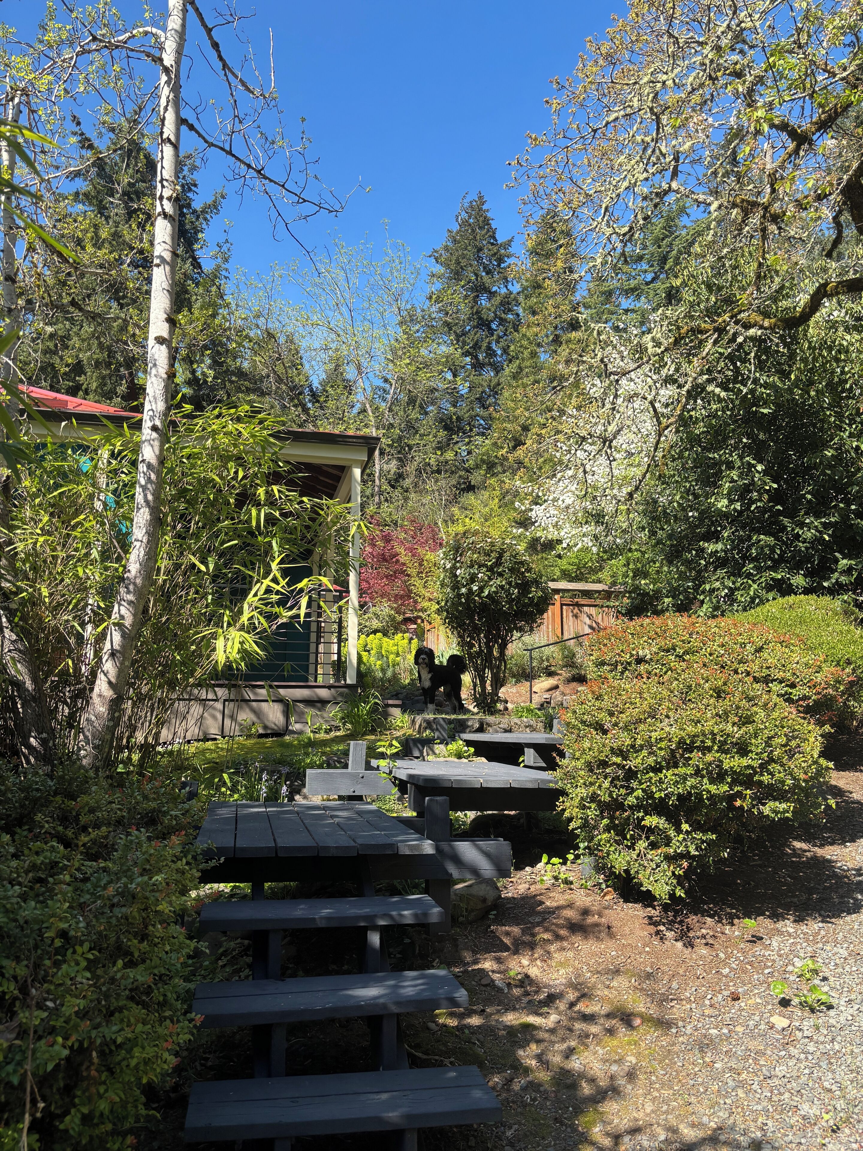 A garden with picnic tables and a building with a red roof.