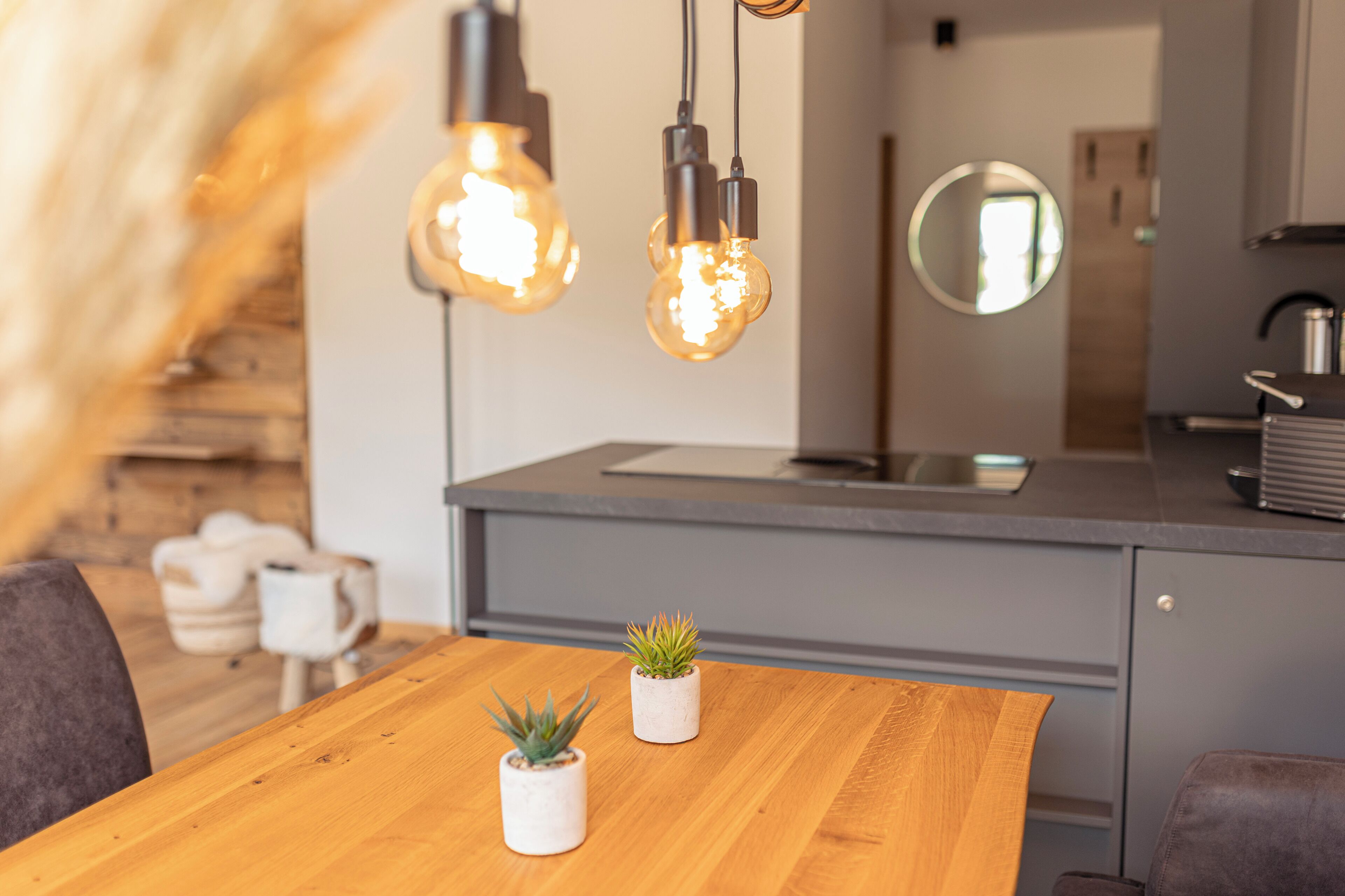 Cuina moderna amb taula de dinar de fusta, dues plantes en testos i il·luminació penjant.
