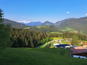 Paisaje rural con un camino sinuoso, casas y colinas boscosas y frondosas.